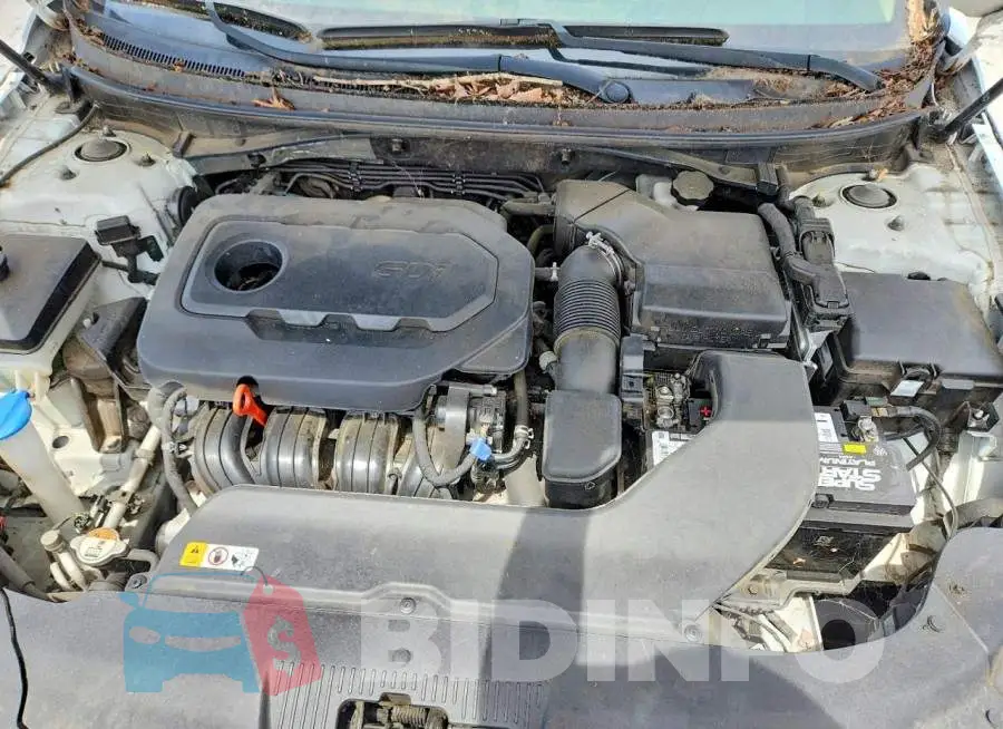 5NPE24AF7HH513870 Photo# 11