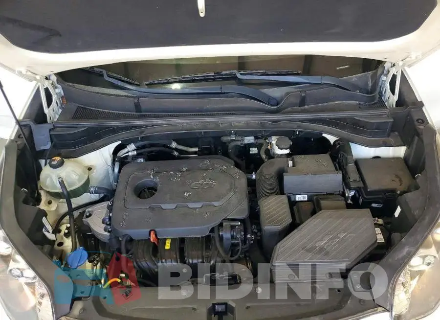KNDPN3AC5L7769275 Photo# 11