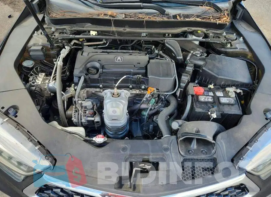 19UUB1F5XLA013343 Photo# 11