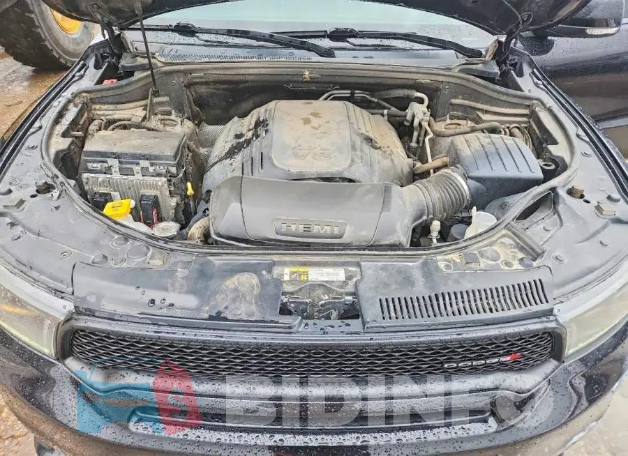 1C4SDJCT3KC531171 Photo# 11