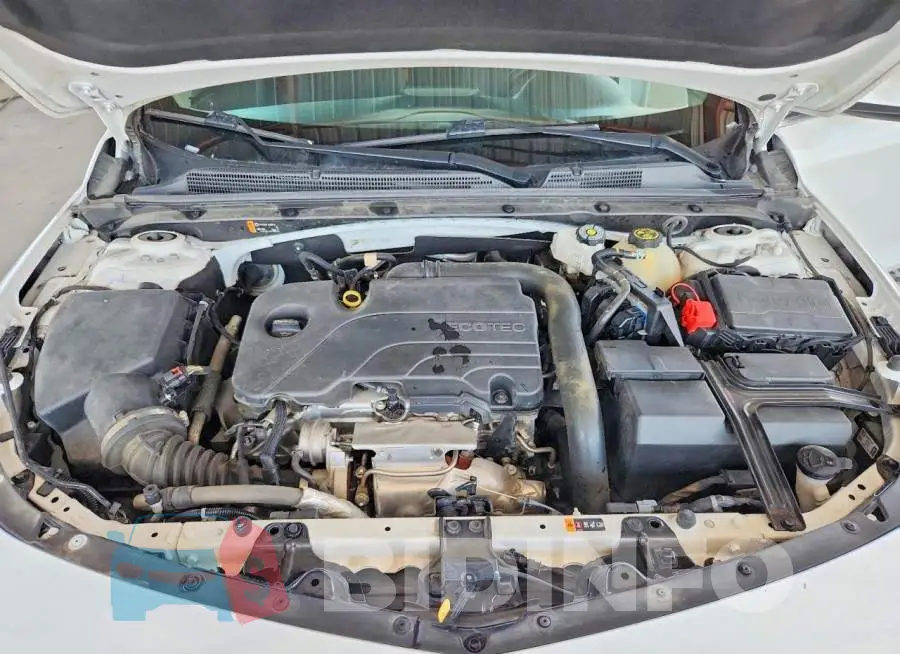 1G1ZD5ST4PF176467 Photo# 11