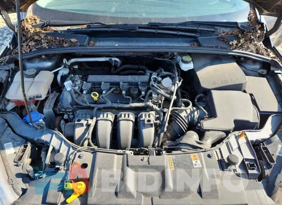 1FADP3E29JL215231 Photo# 11