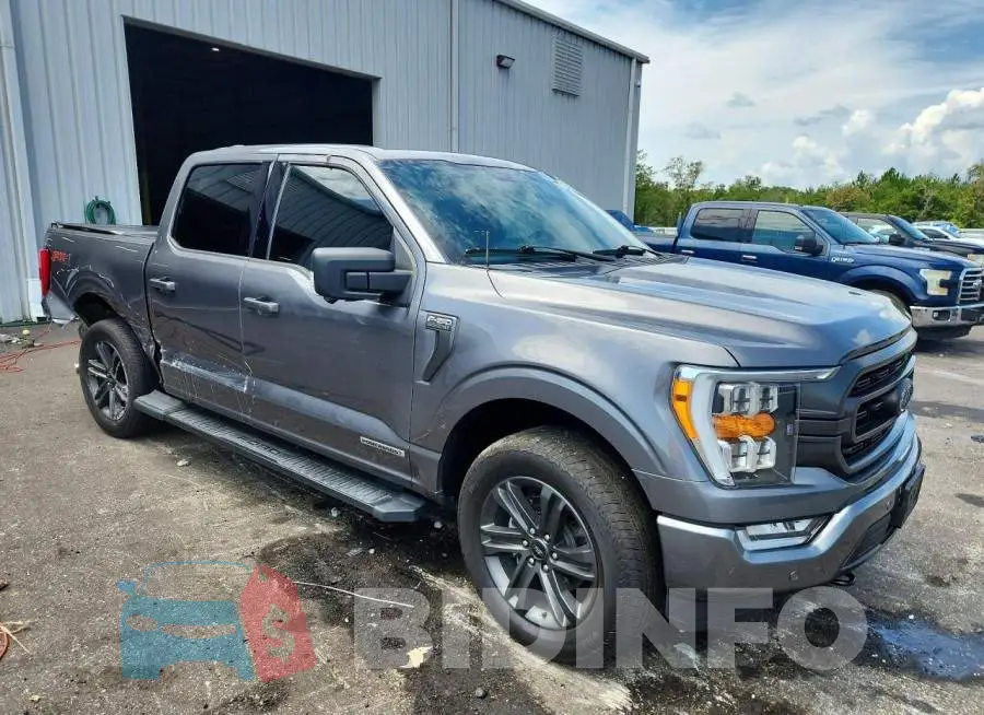1FTFW1EDXPFB31597 Photo# 4