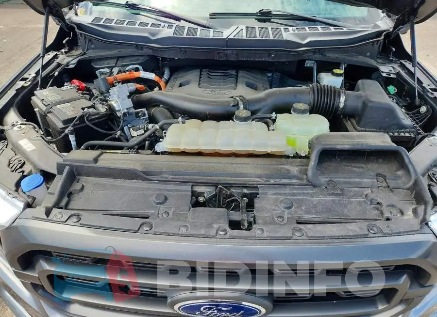1FTFW1EDXPFB31597 Photo# 11