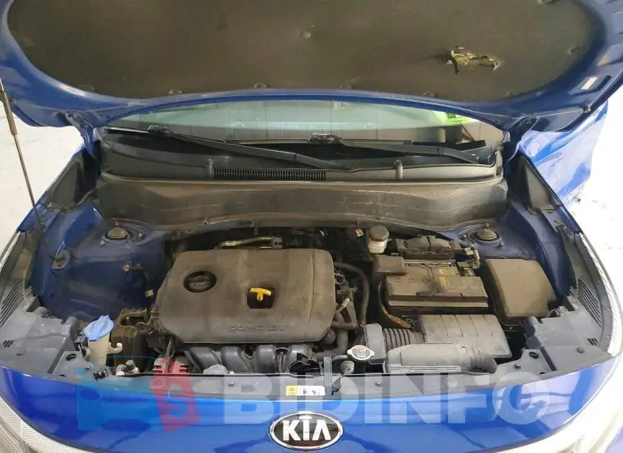 KNDERCAA1M7192529 Photo# 12