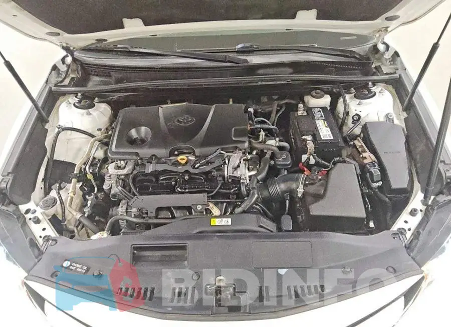 4T1C11AK2LU355437 Photo# 11