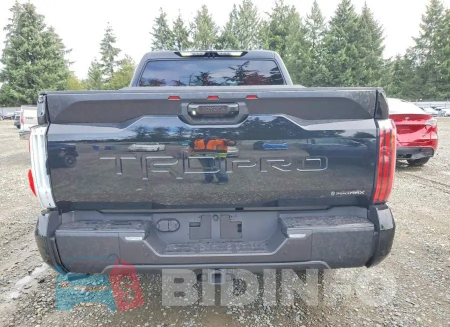 5TFPC5DB3TX130557 Photo# 6
