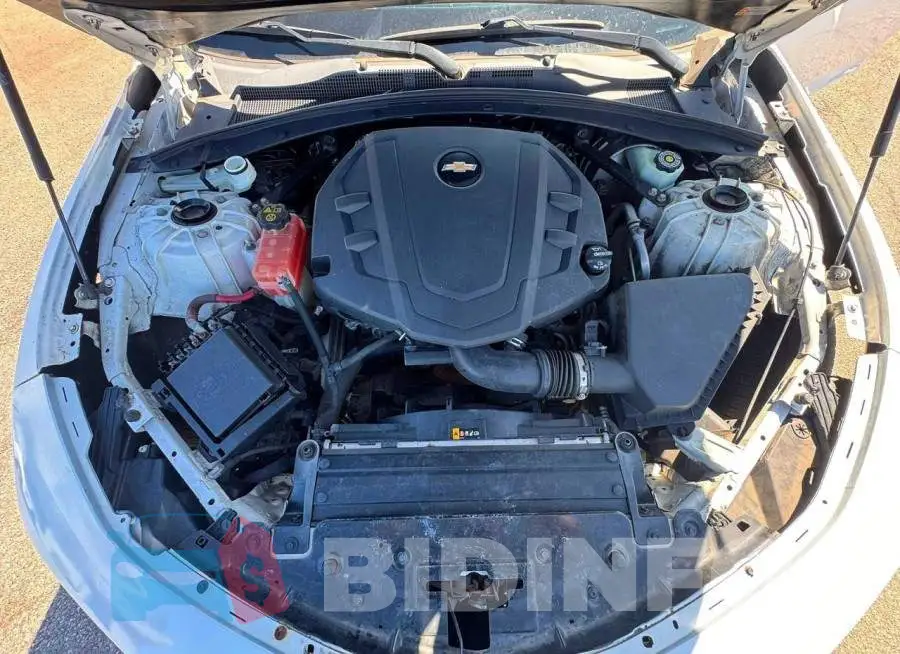 1G1FB1RS8L0147369 Photo# 7