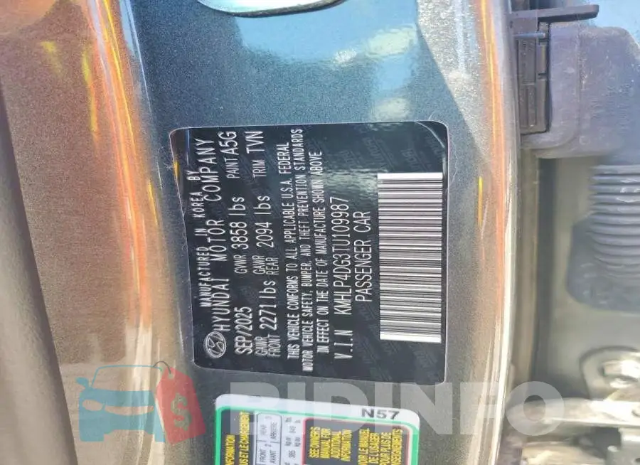 KMHLP4DG3TU109987 Photo# 12