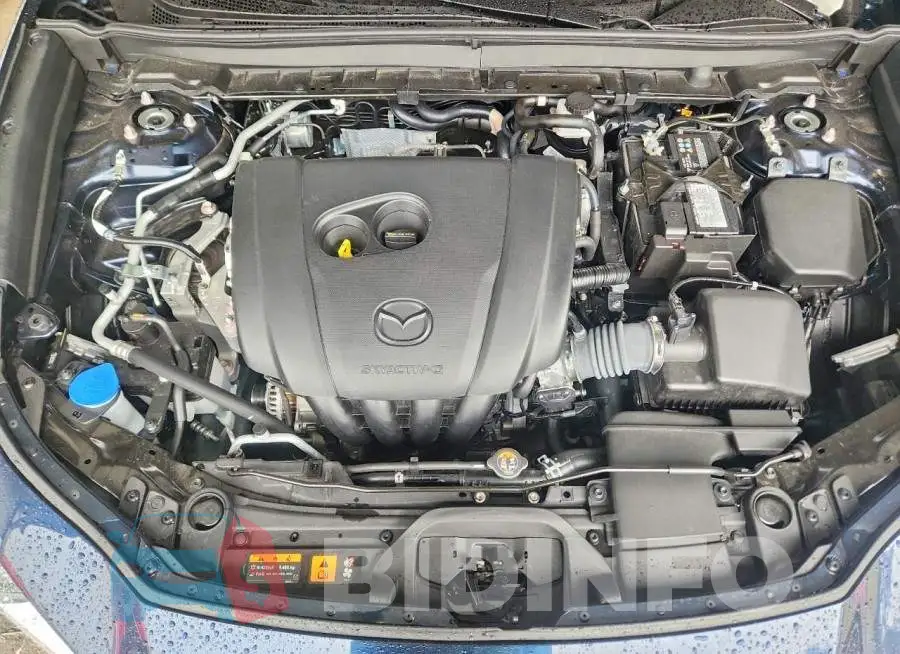 3MVDMBCL8TM150090 Photo# 12