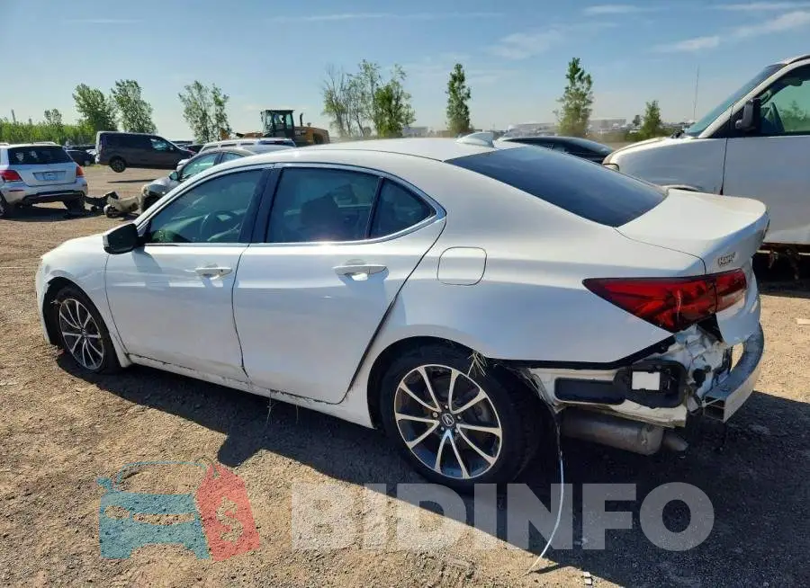 19UUB3F55HA800283 Photo# 2