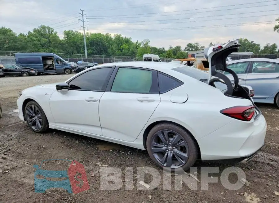 19UUB6F51PA005831 Photo# 2