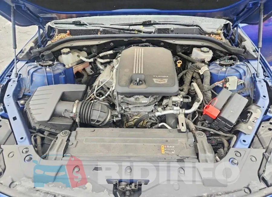 1G6DX5RK3L0132482 Photo# 11
