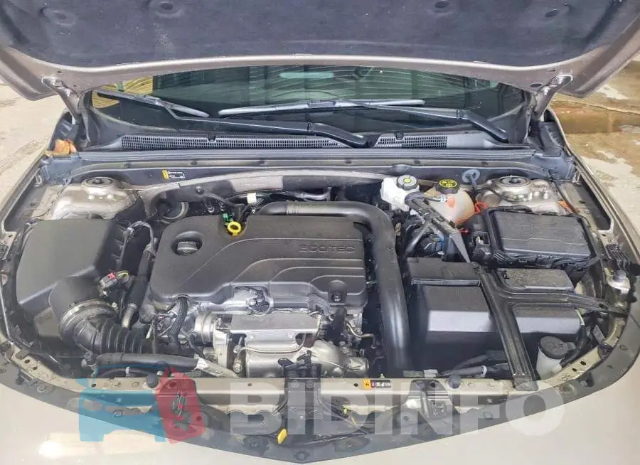 1G1ZD5ST9RF173003 Photo# 11