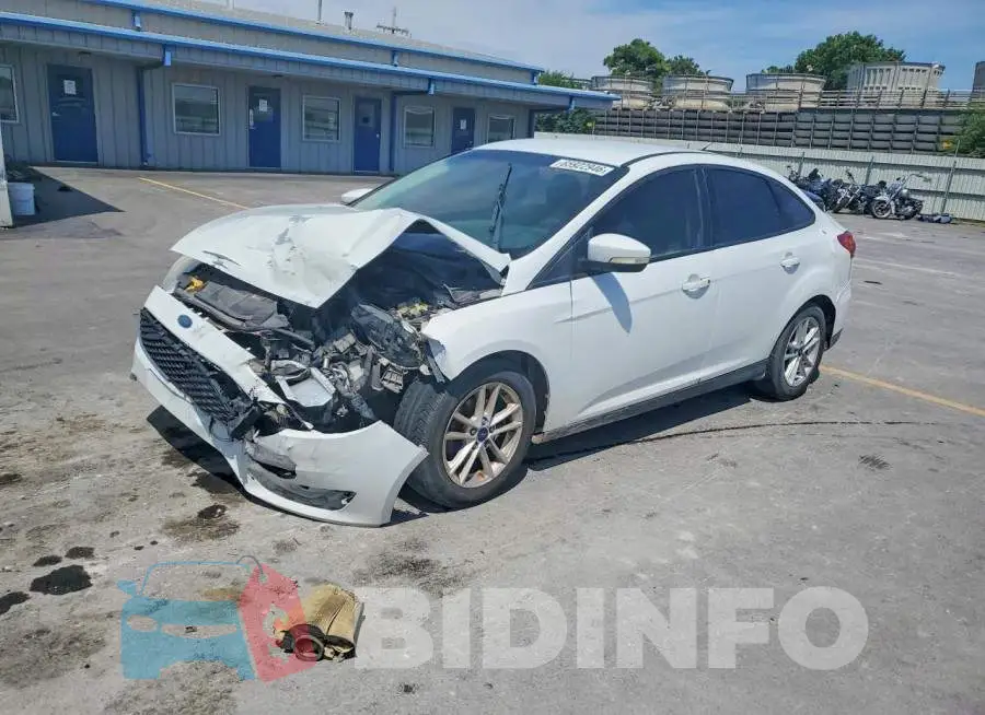 1FADP3F21HL248829 Photo# 1