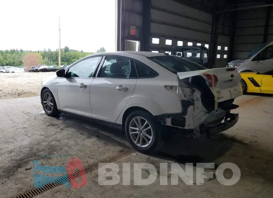 1FADP3F21HL250693 Photo# 2