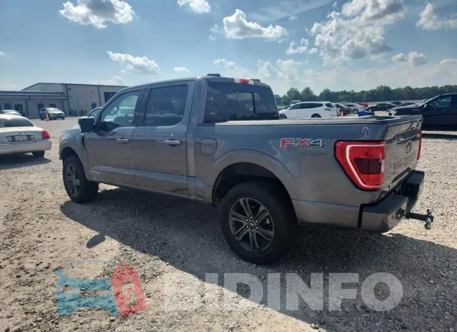 1FTFW1ED7MFB39992 Photo# 2