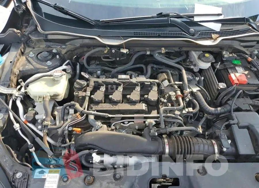 19XFC1F31LE025185 Photo# 11