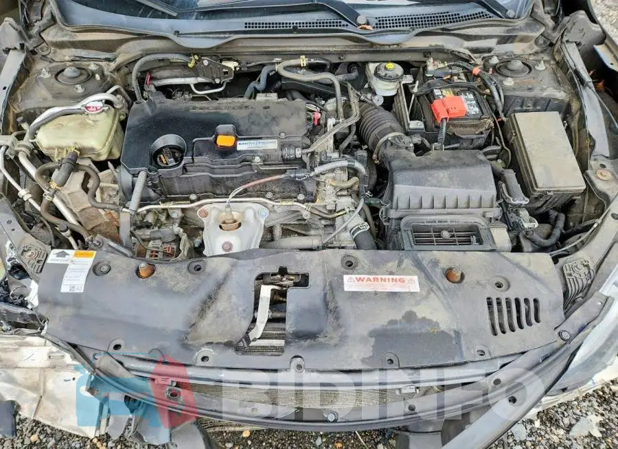 19XFC2F52JE207532 Photo# 11