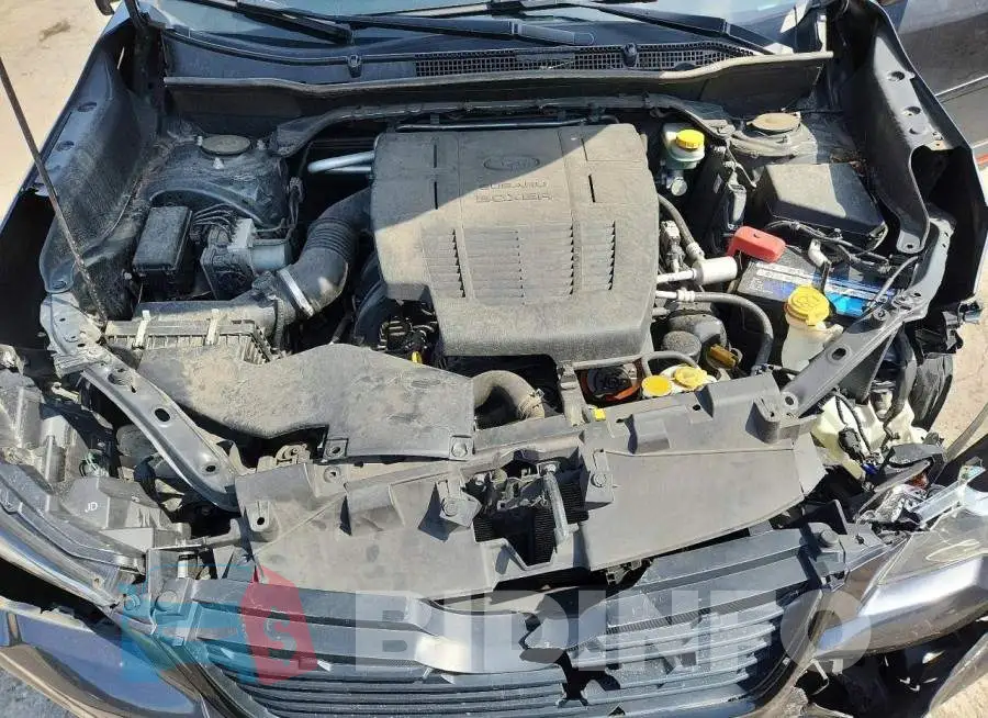 JF2SKAPC4KH488142 Photo# 12