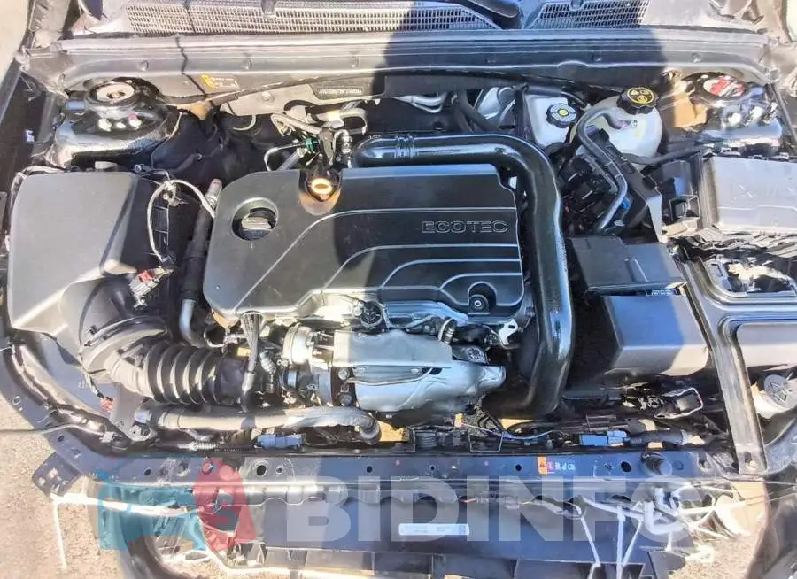 1G1ZD5ST2KF216036 Photo# 11