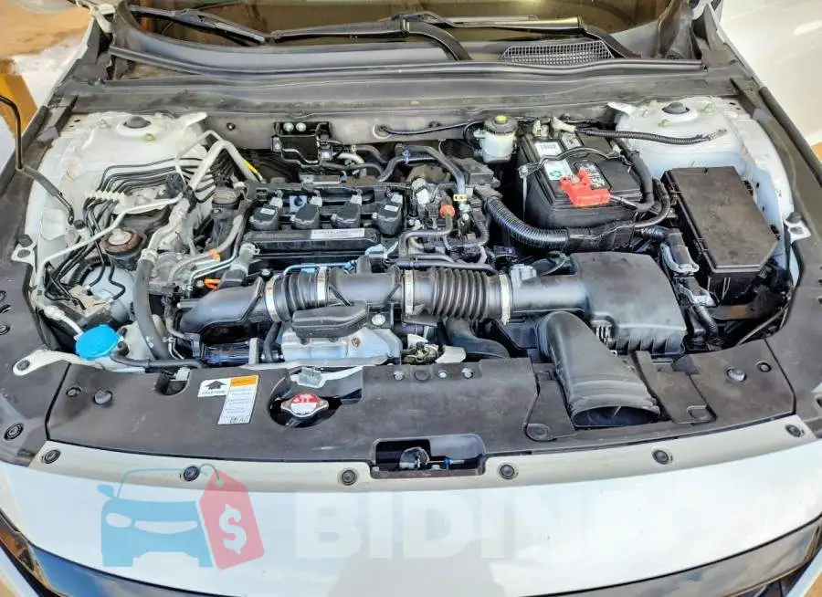 1HGCV1F31KA081644 Photo# 11