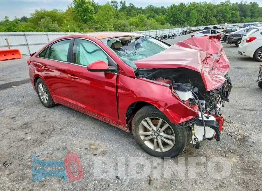 5NPE24AF3HH503207 Photo# 4