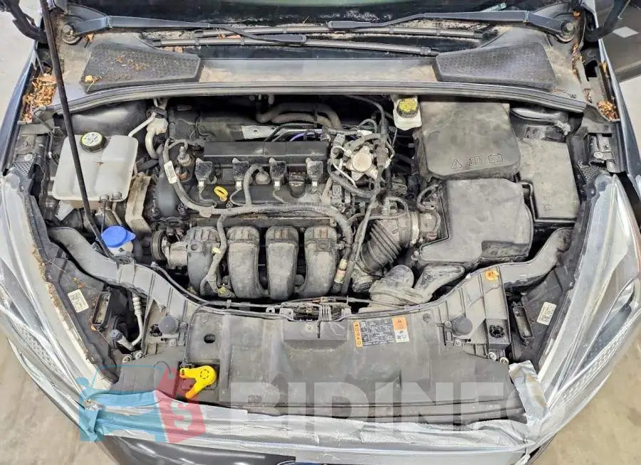 1FADP3F28JL251670 Photo# 11