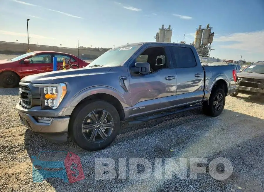 1FTFW1CD0MFB87515 Photo# 1