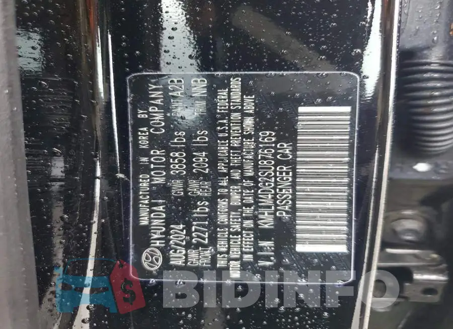 KMHLM4DG2SU876169 Photo# 13