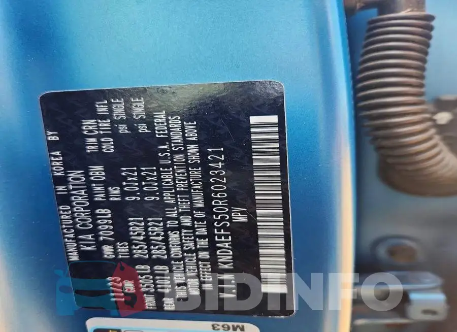 KNDAEFS50R6023421 Photo# 14