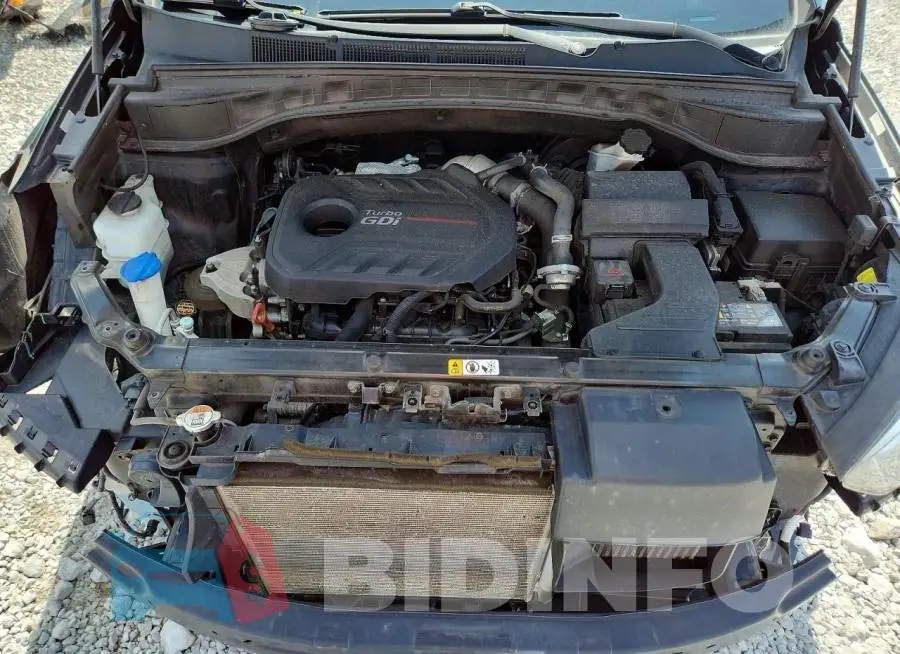5XYZWDLA6JG522550 Photo# 12