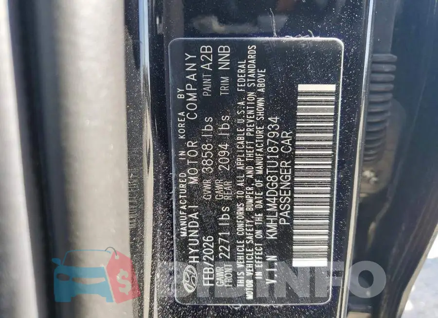 KMHLM4DG8TU187934 Photo# 12