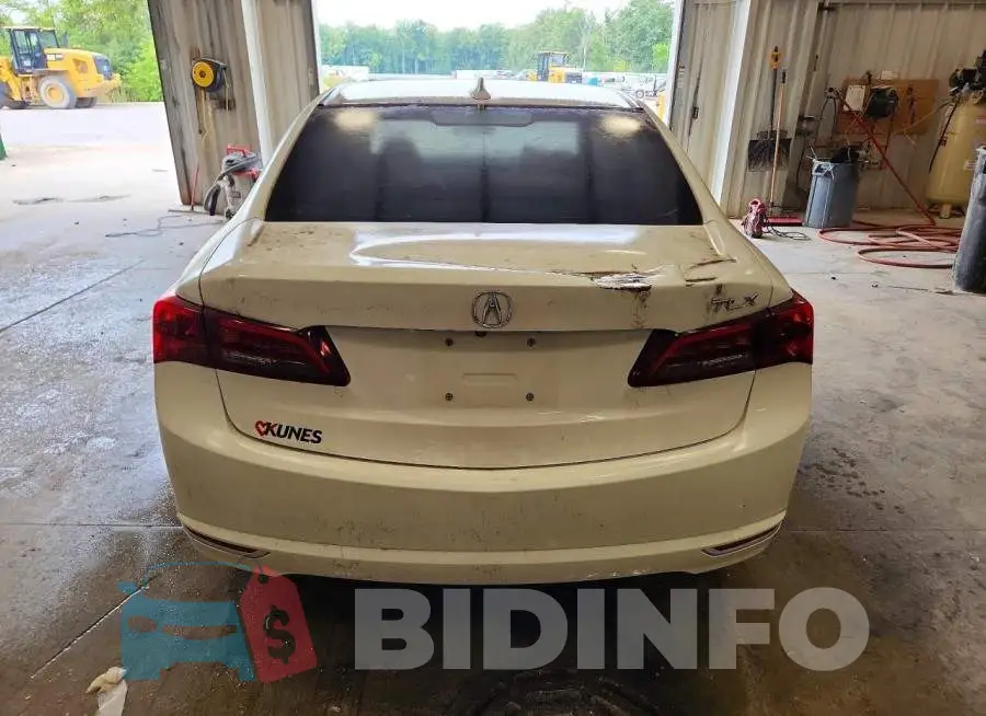 19UUB2F3XHA006744 Photo# 6