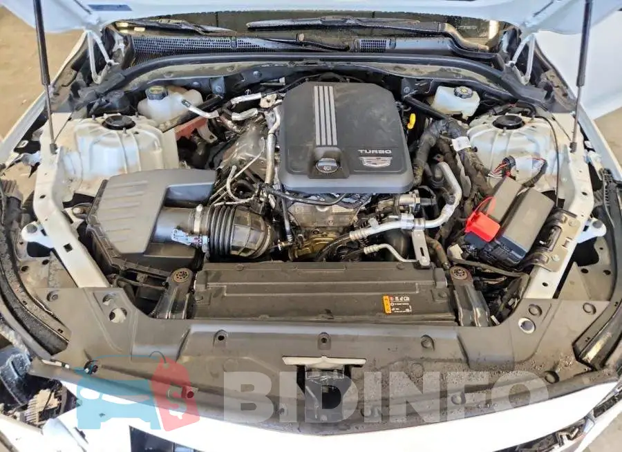 1G6DN5RK4T0112585 Photo# 11