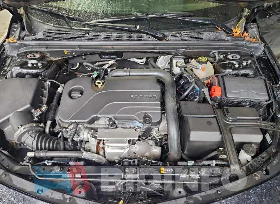 1G1ZB5ST3LF157019 Photo# 11
