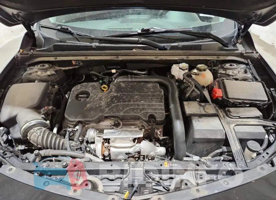 1G1ZD5ST5RF173855 Photo# 11