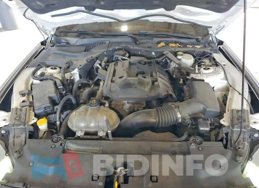 1FATP8UH4K5170249 Photo# 11