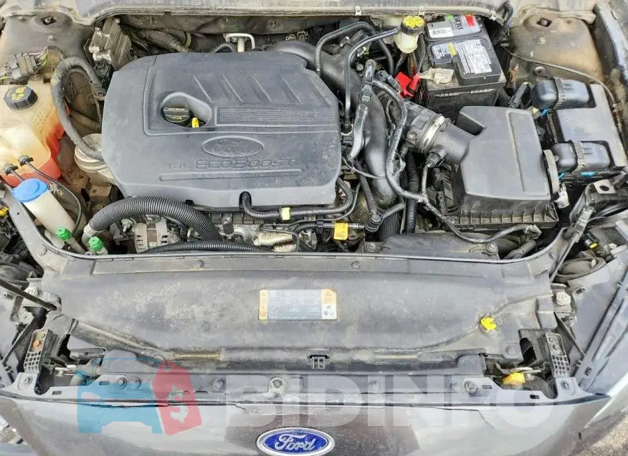 3FA6P0HD5HR228316 Photo# 11