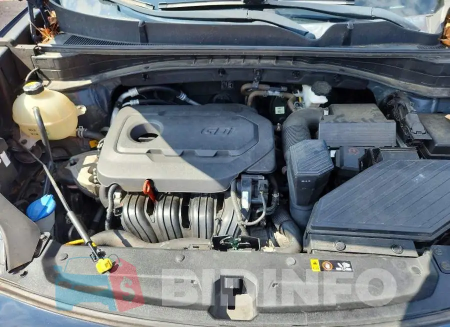 KNDPN3ACXH7033438 Photo# 11