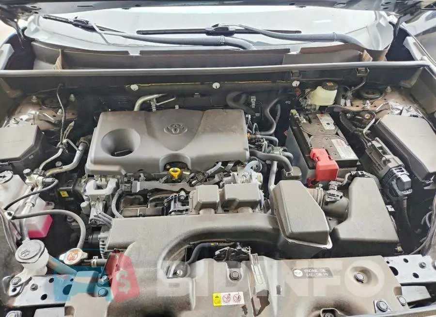 JTMW1RFV6SJ032463 Photo# 12