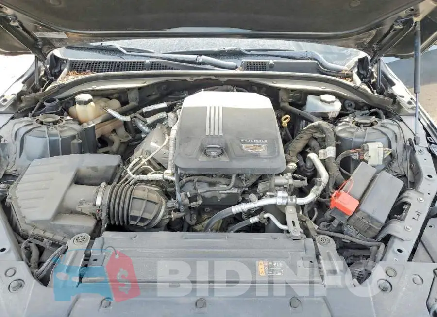 1G6DP5RKXM0135171 Photo# 11