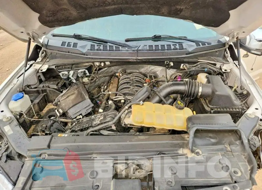 1FTFW1E55KFB60264 Photo# 11