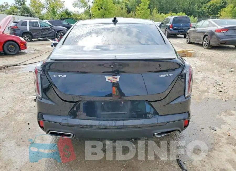 1G6DC5RK3M0118546 Photo# 6