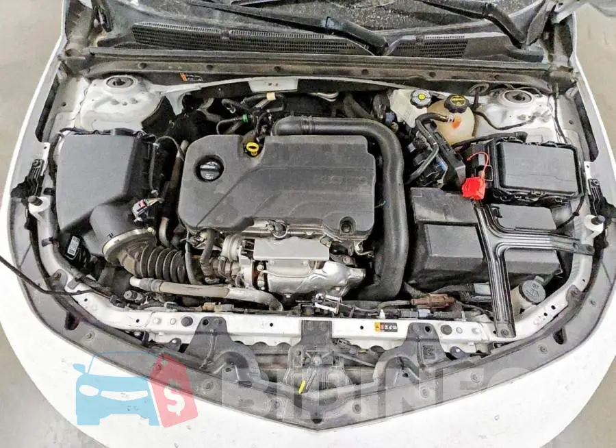 1G1ZD5ST4RF223791 Photo# 11