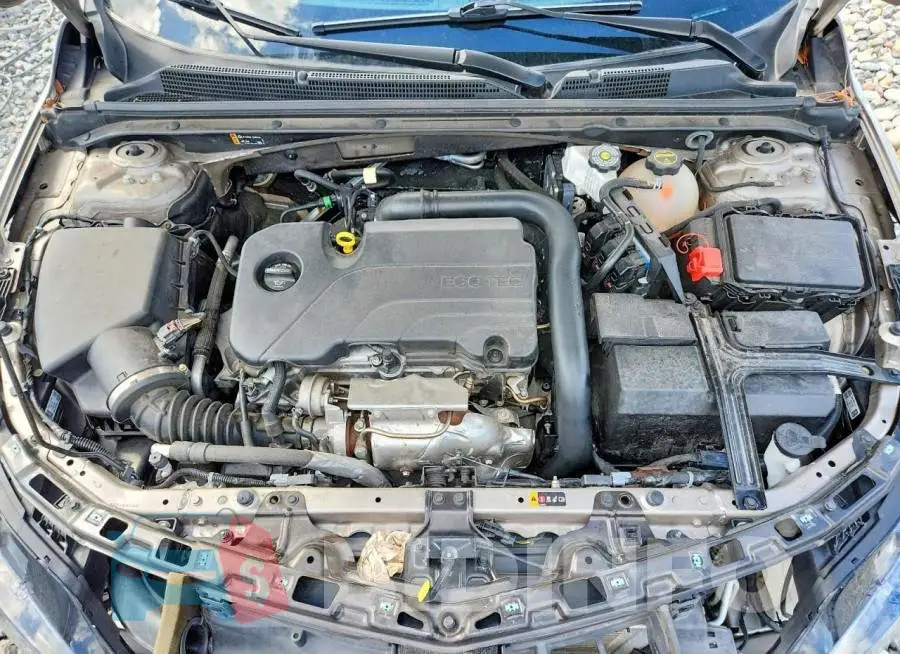 1G1ZD5ST5RF225291 Photo# 11
