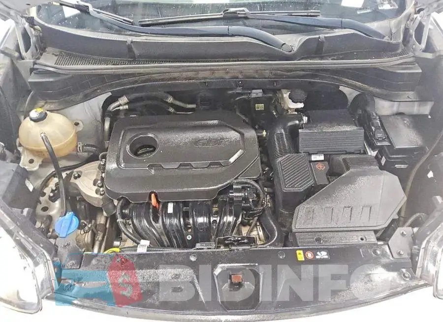 KNDPMCAC8L7776143 Photo# 11
