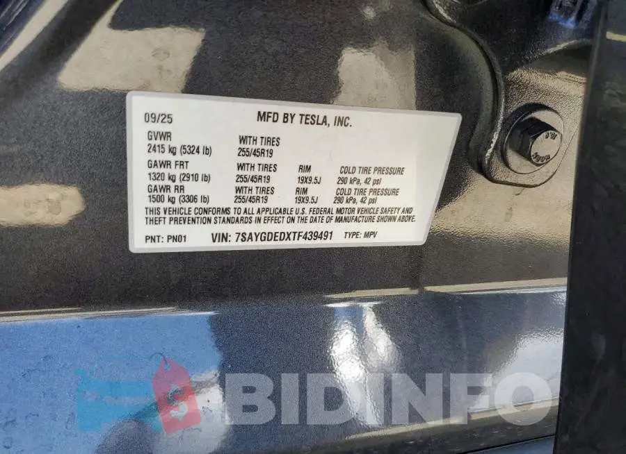 7SAYGDEDXTF439491 Photo# 14