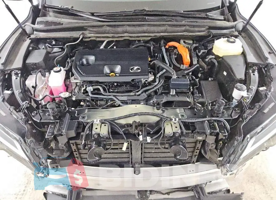 2T2BBMCAXTC118061 Photo# 12