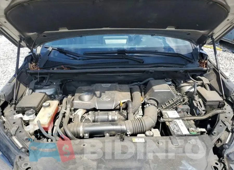 JTJJARBZ1L5016911 Photo# 12